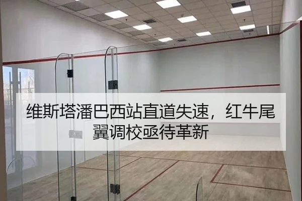 维斯塔潘巴西站直道失速，红牛尾翼调校亟待革新